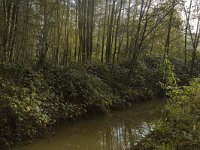 NL, Limburg, Weert, Roeventerpeel 21, Saxifraga-Marijke Verhagen